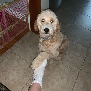 Meet your Posher, Hannah